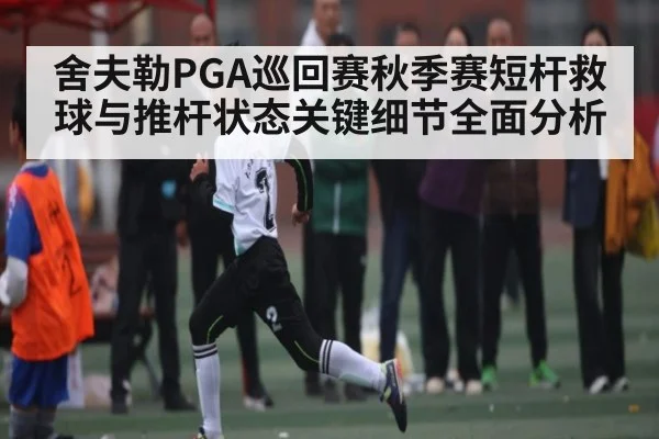 舍夫勒PGA巡回赛秋季赛短杆救球与推杆状态关键细节全面分析