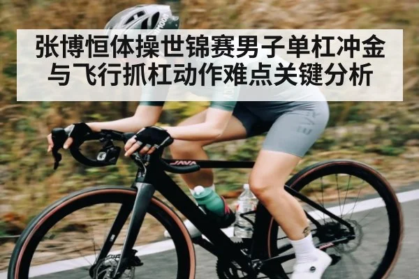 张博恒体操世锦赛男子单杠冲金与飞行抓杠动作难点关键分析