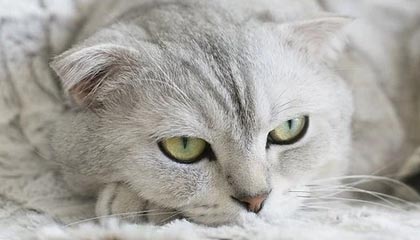 澳门新葡京娱乐场-徐彬2022后稳步成长 中超+U23亚洲杯表现亮眼敲定留洋