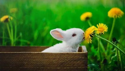 新葡京集团-年轻人不讲武德！“懒汉”神锋闪击破纪录助米兰取胜